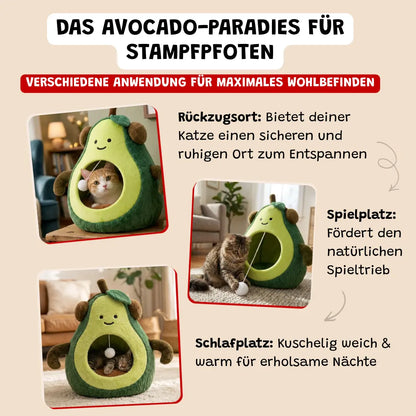 Katzenhöhle Avocado
